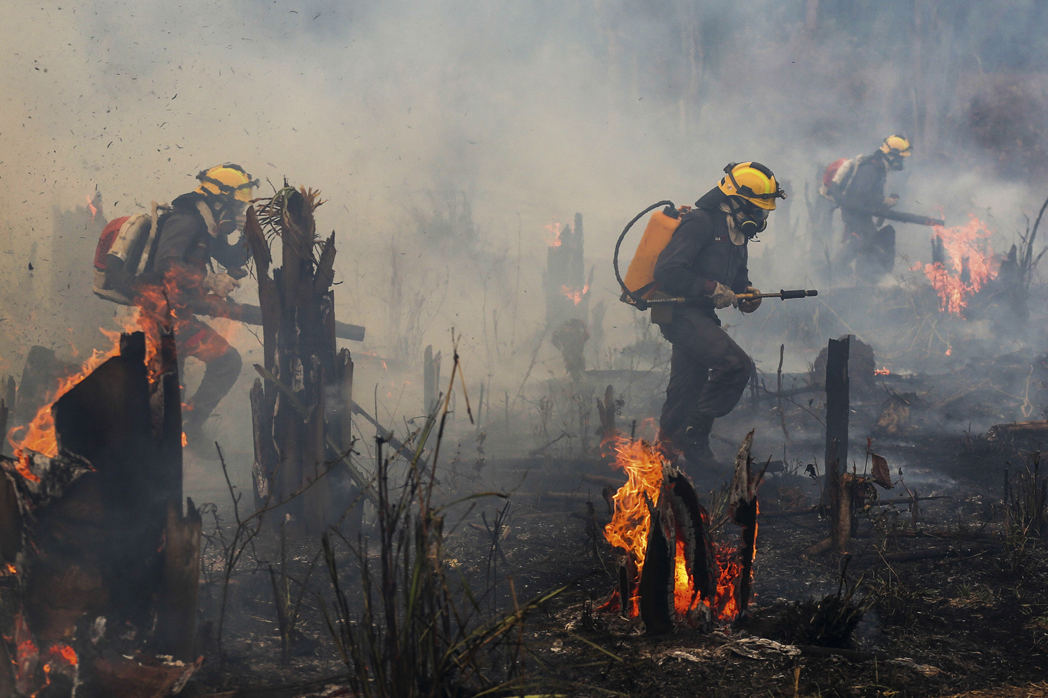 EM CHAMAS - Cerrado: cenário para o flagelo das queimadas no Brasil