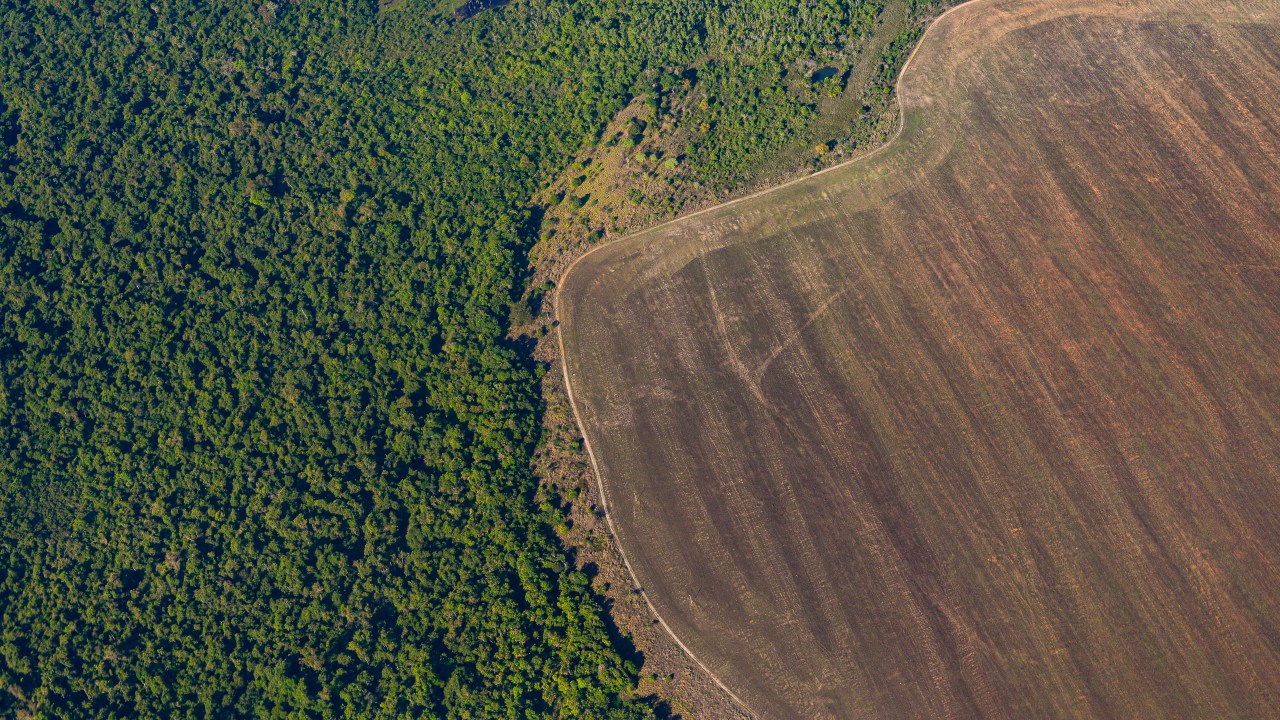 AMAZÔNIA - Desmatamento: atividade é mais comum nas áreas com menor desenvolvimento social