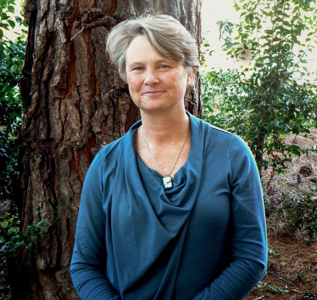 SOLUÇÃO ÓBVIA - A bióloga americana Janine Benyus: criadora de um termo inovador, a biomimética