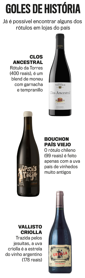arte vinhos