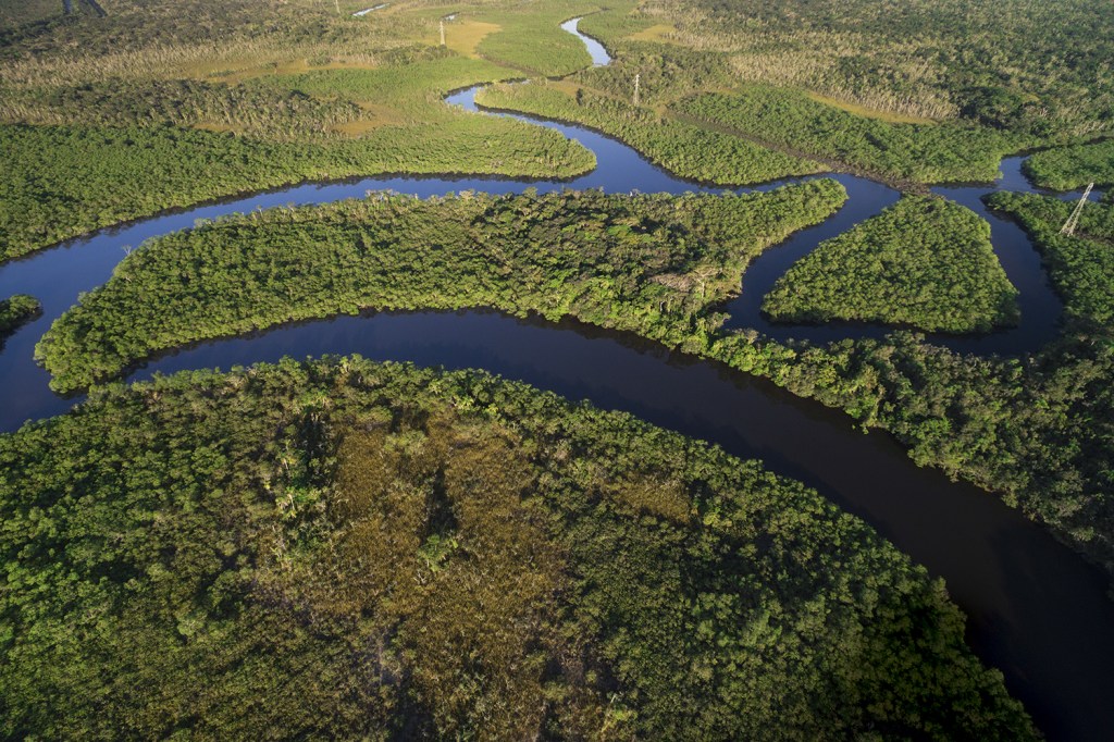 VASTIDÃO INTOCADA - Com 340 milhões de hectares de mata ainda preservados, o Brasil é candidato a ser o maior mercado de créditos de carbono do mundo, remunerando quem preserva a vegetação nativa