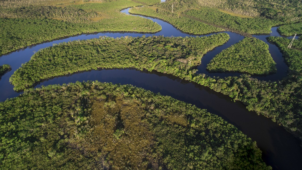VASTIDÃO INTOCADA - Com 340 milhões de hectares de mata ainda preservados, o Brasil é candidato a ser o maior mercado de créditos de carbono do mundo, remunerando quem preserva a vegetação nativa