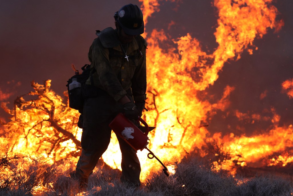 Crane Valley Hotshots set a back fire as the York Fire burns in the Mojave National Preserve on July 30, 2023. The York Fire has burned over 70,000 acres, including Joshua trees and yucca in the Mojave National Preserve, and has crossed the state line from California into Nevada. (Photo by DAVID SWANSON / AFP)