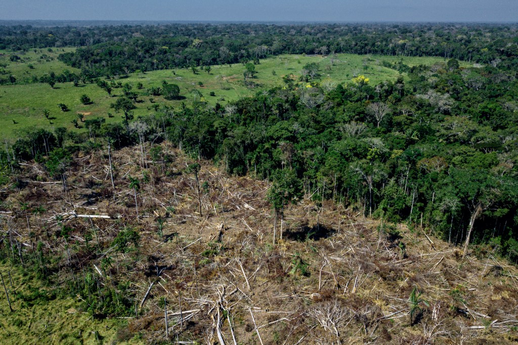 AMEAÇA - Área desmatada: preservação da floresta é preocupação mundial