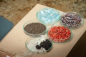 Capsulas preenchidas com sementes para serem despejadas nas encostas de Barra do Sahy, em São Paulo