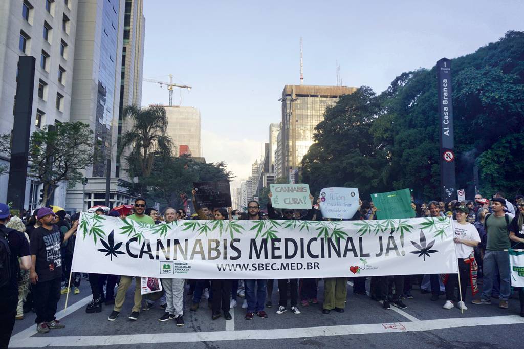 GettyImages-1258782280.jpg EM ALTA - Ato pelo uso medicinal da maconha: em 2023, a Anvisa deu 66 000 autorizações para importar canabidiol