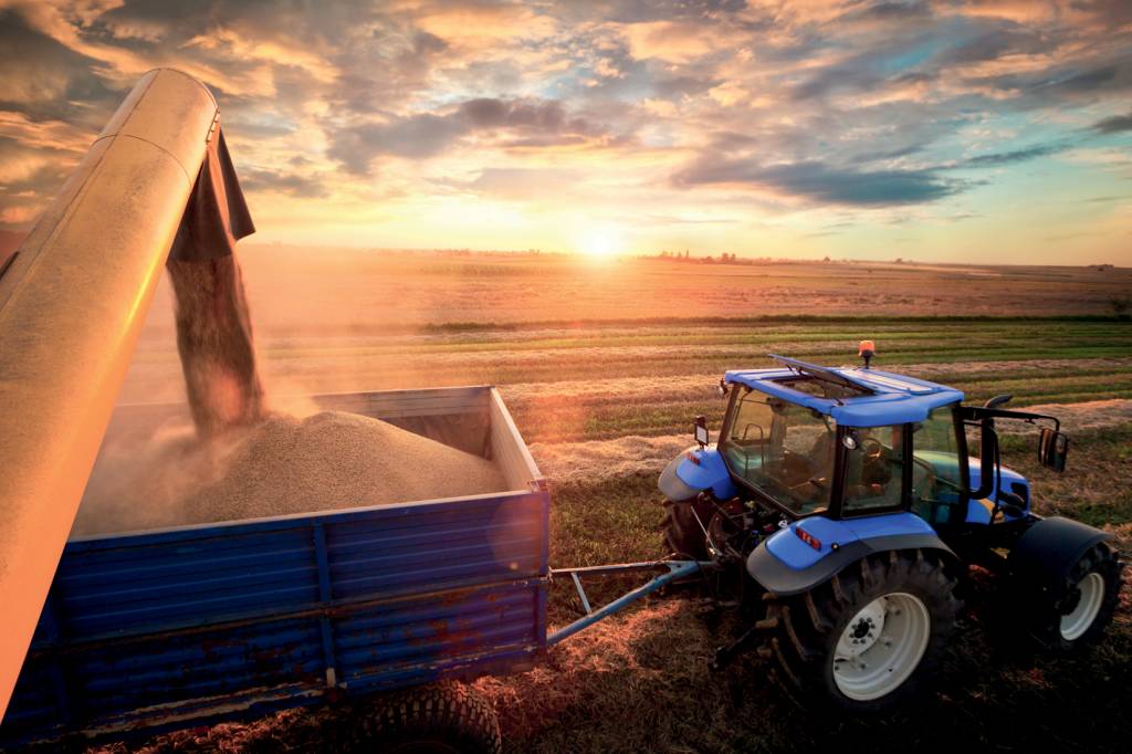 Harvest NA FAZENDA - Produção de trigo: Congresso não quer aumento de tributos