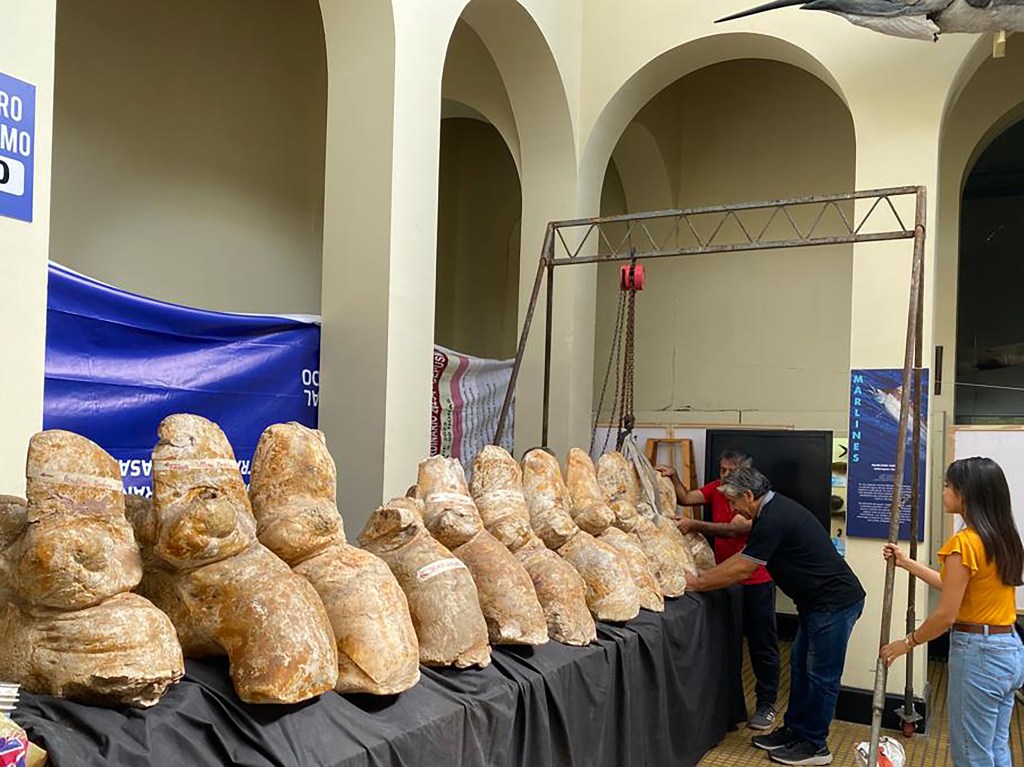MUSEU - P. Colossus: fóssil está exposto temporariamente na capital peruana