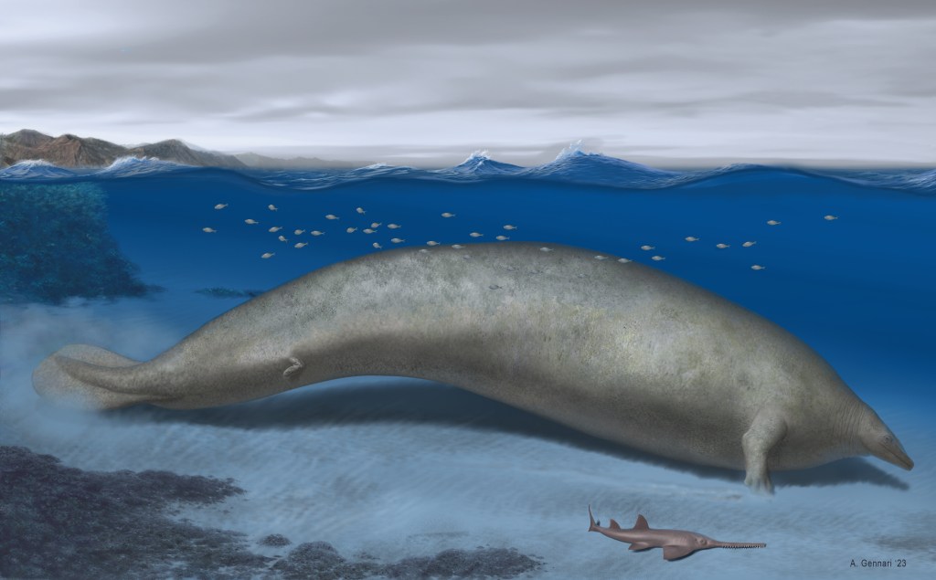MAIOR DO MUNDO - Perucetus colossus: espécie de baleia pesava algo entre 85 e 340 toneladas