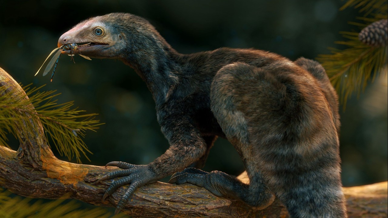 BRASIL - Venetorraptor: ilustração reconstrói precursor brasileiro dos pterossauros