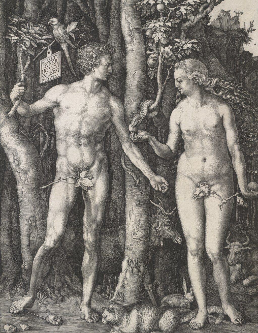 PERFEIÇÃO - Cena de Adão e Eva, por Dürer: contemporâneo de Michelangelo