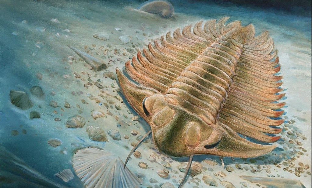 ARTRÓPODE ANCESTRAL - Trilobitas: animais viveram há 450 milhões de anos e se alimentavam de animais mortos