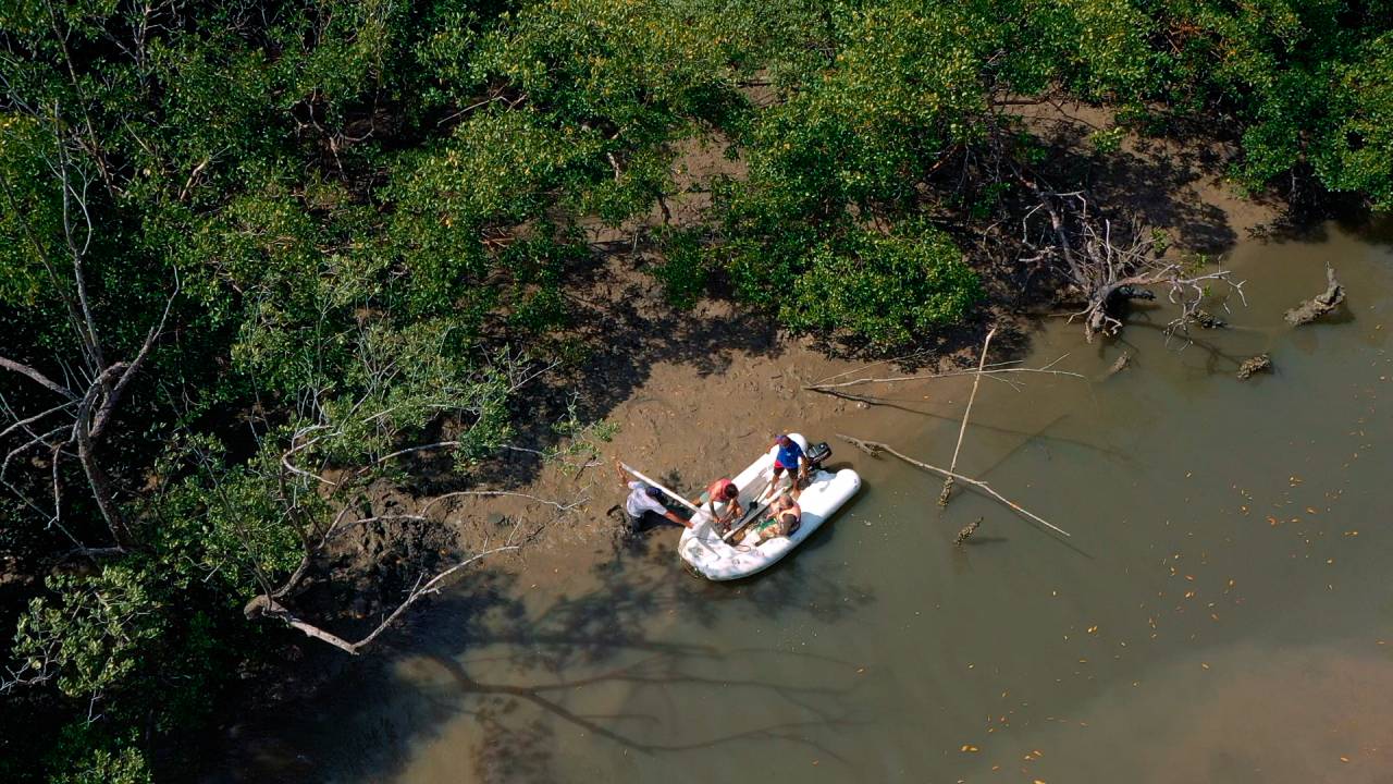 A ERA DOS HUMANOS - Documentário: filme mostra que registro escolhido como marco do antropoceno também ficou eternizado em solo brasileiro