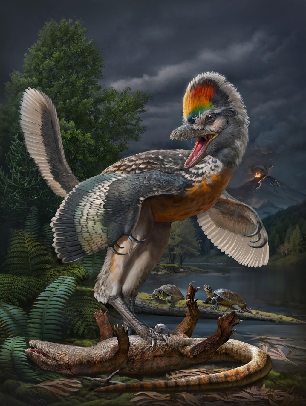 AVES VS DINOSSAUROS - Fujianvenator prodigiosus: novo fóssil pode ajudar a encontrar elo perdido