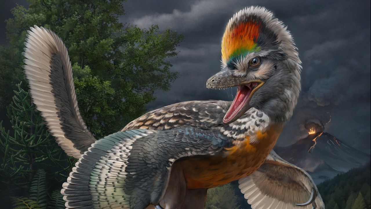 AVES VS DINOSSAUROS - Fujianvenator prodigiosus: novo fóssil pode ajudar a encontrar elo perdido