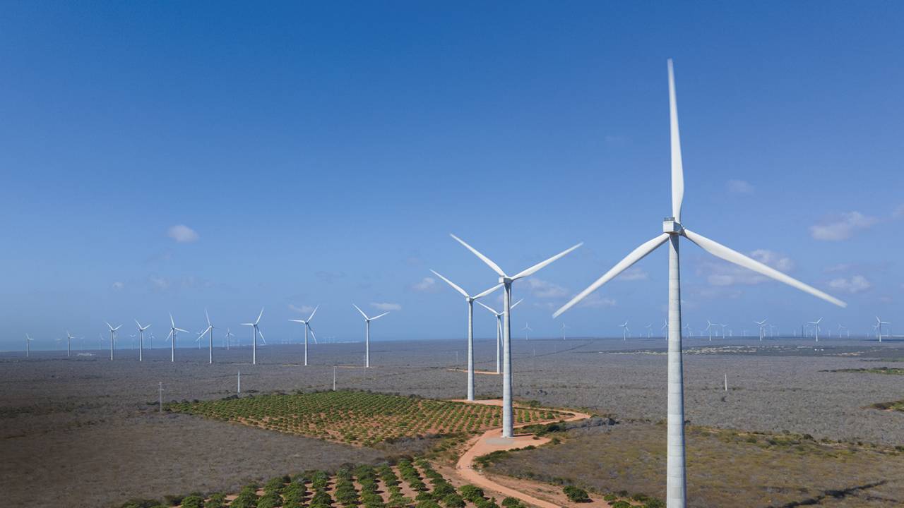 FUTURO - Energia eólica: fartura de fontes renováveis