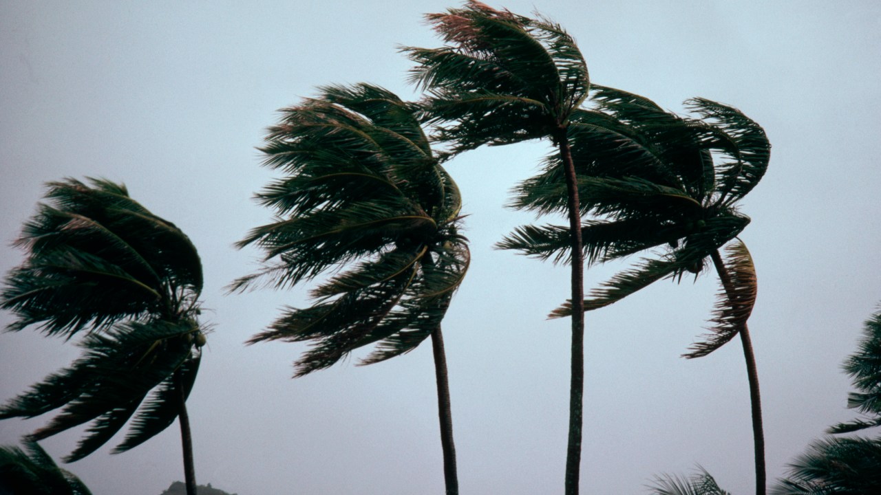 CICLONE - Sul: fenômeno provoca ventos fortes e é mais comum na região