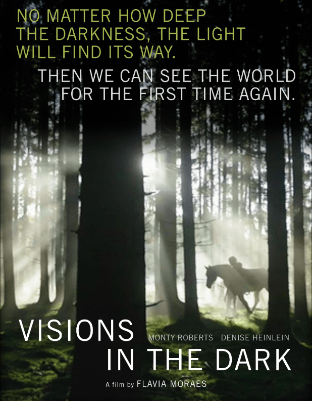 cartaz ‘Visions in the Dark’ -