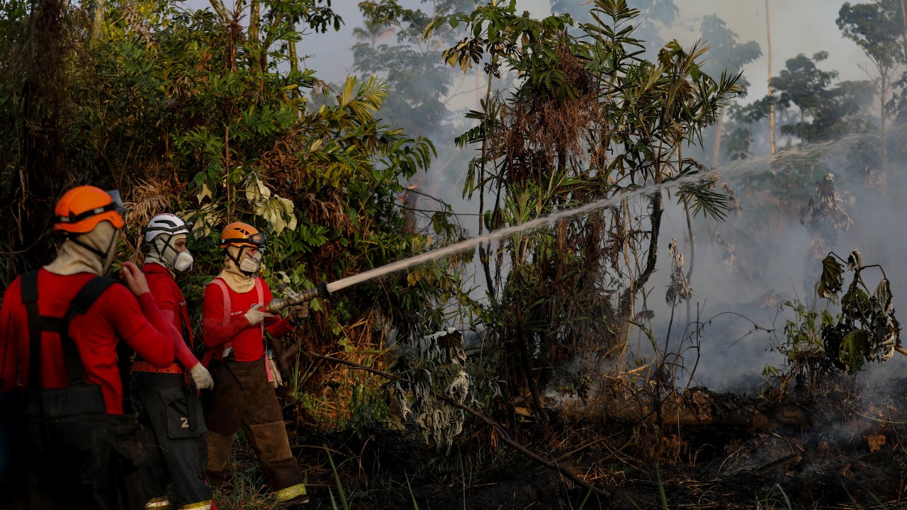 Bombeiros tentam apagar incêndio em uma área florestal na localidade de Cacau Pirera, em Iranduba, em 25 de setembro