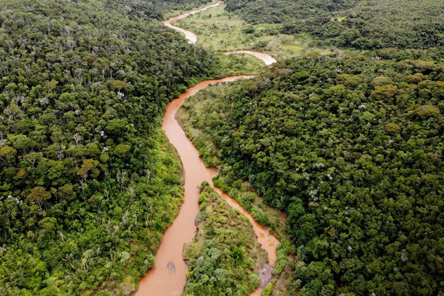 REFLORESTAMENTO - Área replantada pela Vale em Minas Gerais: compensação