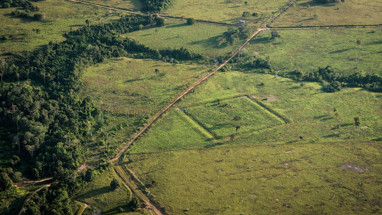 RASTROS - Um geoglifo, desenho de grandes dimensões na terra: descoberta de 24 sítios nunca antes estudados