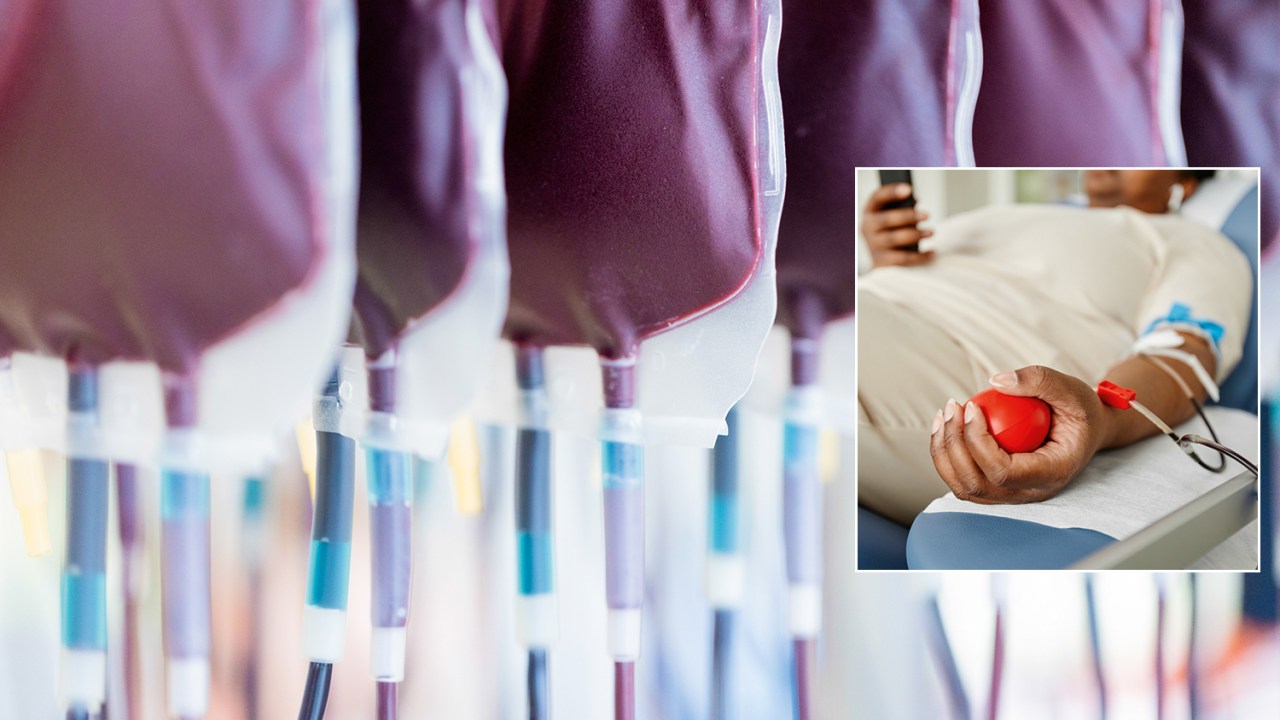 PREOCUPAÇÃO - Altruísmo em risco: Ministério da Saúde teme que proposta impacte doações de sangue