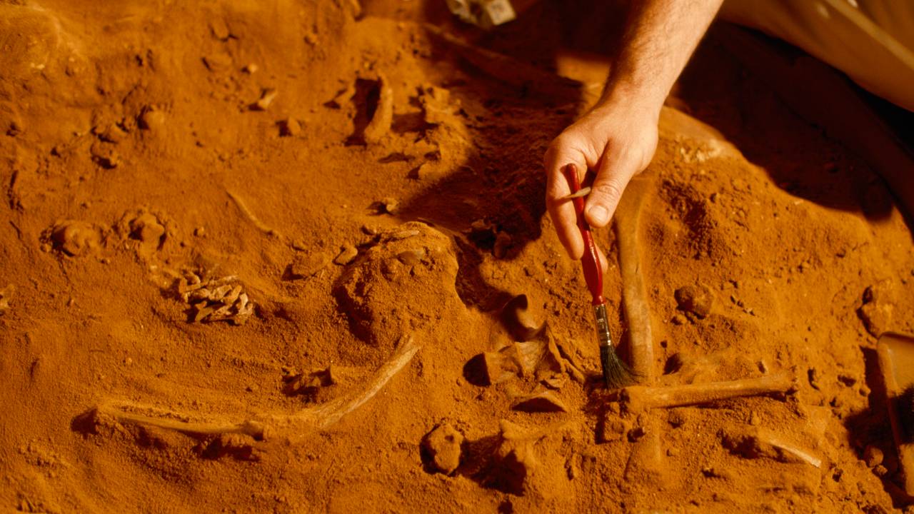 ARQUEOLOGIA - Humanos: analise genética revela características de grupo que deu origem às primeiras civilizações