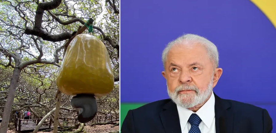 Lula e o maior cajueiro do mundo -