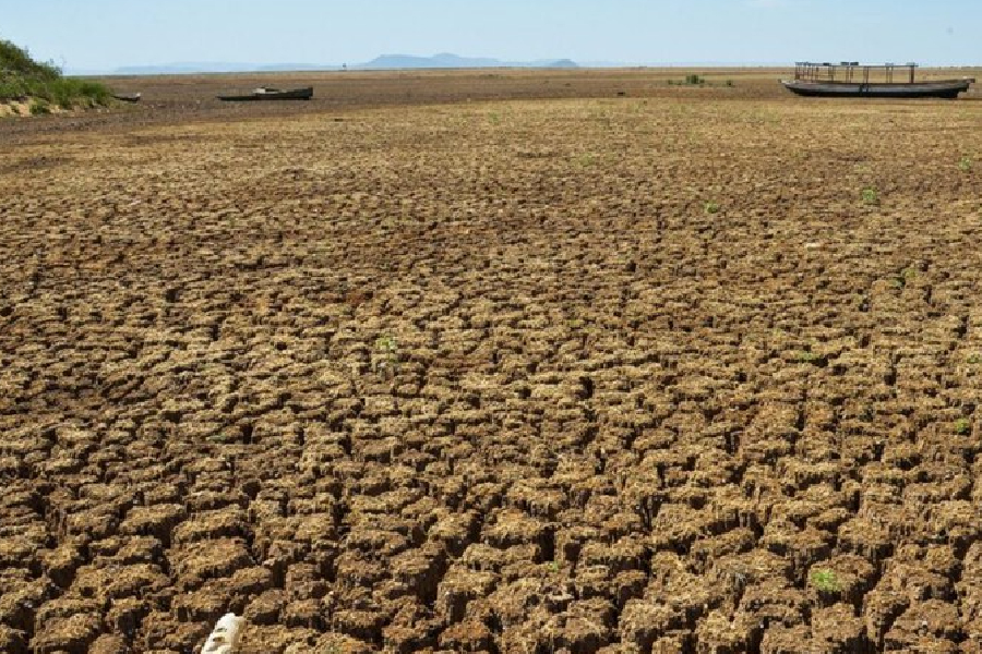 Crise climática: Sul enfrenta chuvas, enquanto Nordeste sofre com secas