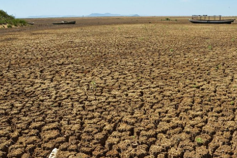 Mais de 100 municípios da região Nordeste estão em situação de seca severa, segundo o Ministério da Ciência, Tecnologia e Inovação (MCTI)