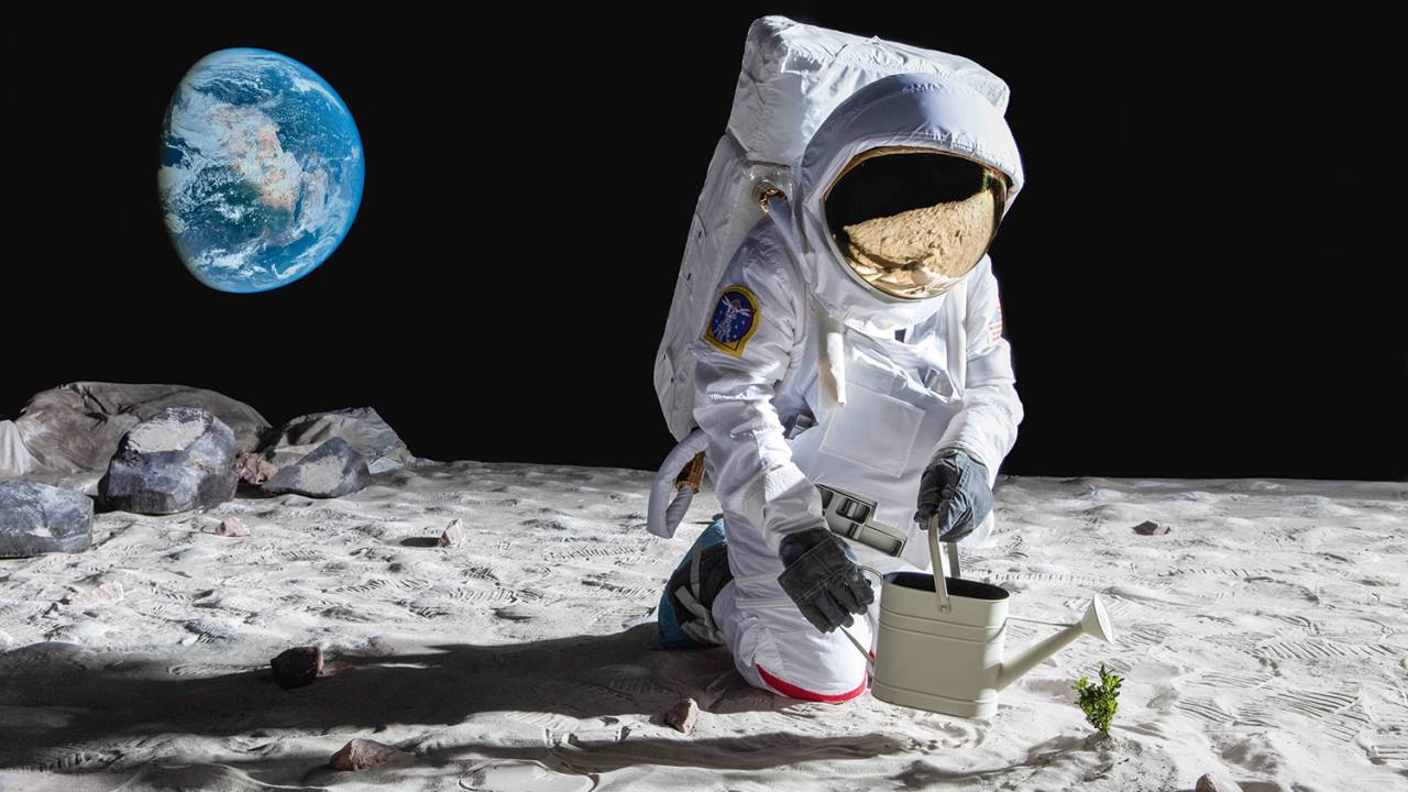 SONHO POSSÍVEL - O cultivo na Lua, em imagem de computador: campo de investigações promissoras