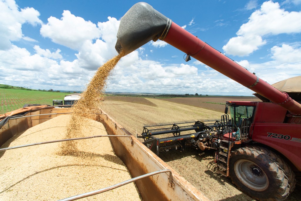 NO CAMPO - Produção de soja: o agronegócio foi responsável por impulsionar o PIB no começo do ano