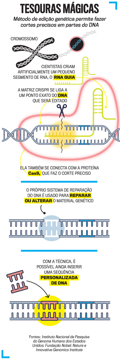 arte-CRISPR-iPhone arte-CRISPR-iPhone