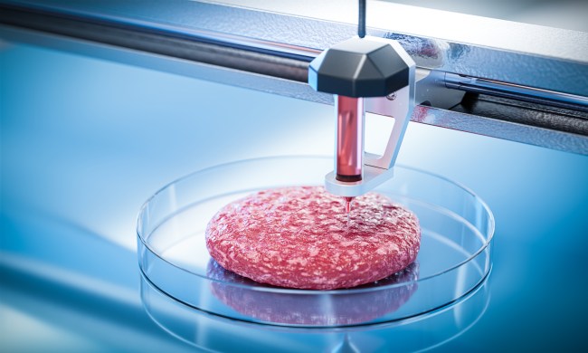 Hambúrguer? Nova “carne”: cultivo em laboratório com análise de dados