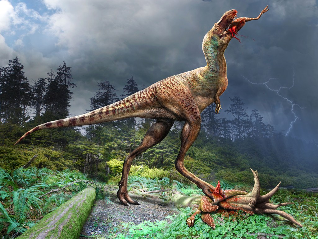 Gorgosaurus - Alimentação: espécie priorizava as patas das suas presas
