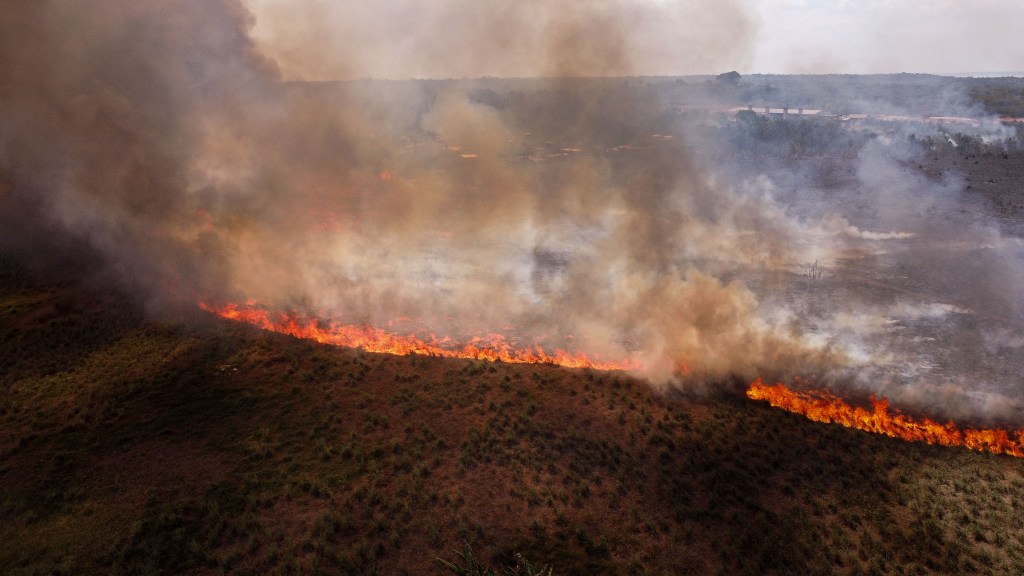 Uma área mista de campos e floresta amazônica está queimando incontrolavelmente, enquanto moradores próximos tentam conter as chamas. Só em outubro, o INPE (Instituto Nacional de Pesquisas Espaciais) detectou 3.060 focos de incêndio no estado do Amazonas, no auge da pior seca já vivida pela floresta amazônica. Esta crise posicionou o estado como a segunda maior vítima destes incêndios intencionais, um problema relativamente novo nesta região, localizada no coração da Amazônia