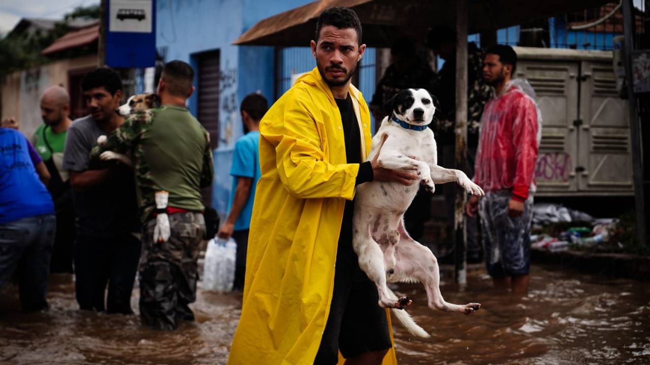 Cachorro resgatado em Canoas, na região metropolitana de Porto Alegre, na última segunda-feira, 6 de maio