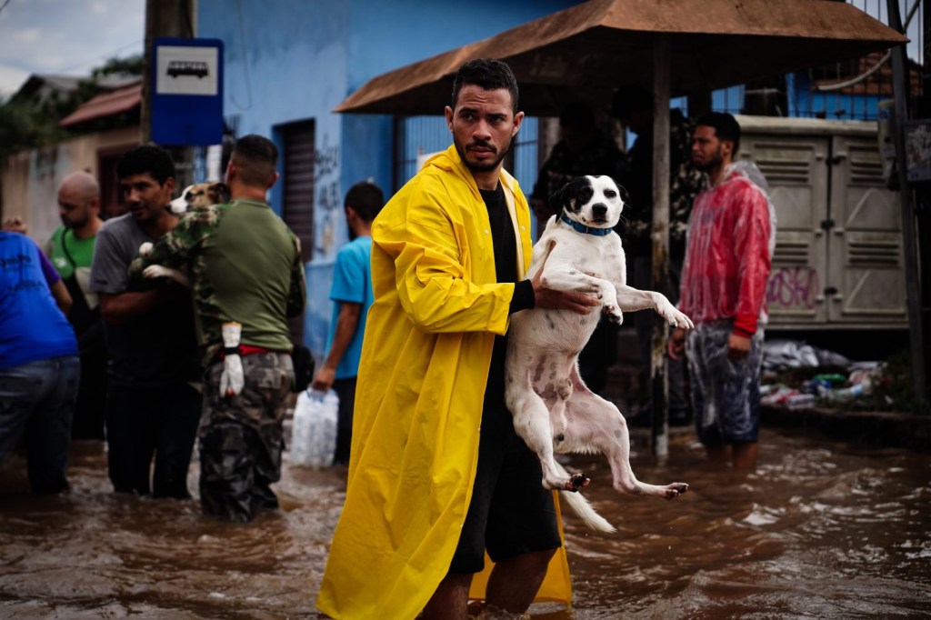 Cachorro resgatado em Canoas, na região metropolitana de Porto Alegre, na última segunda-feira, 6 de maio