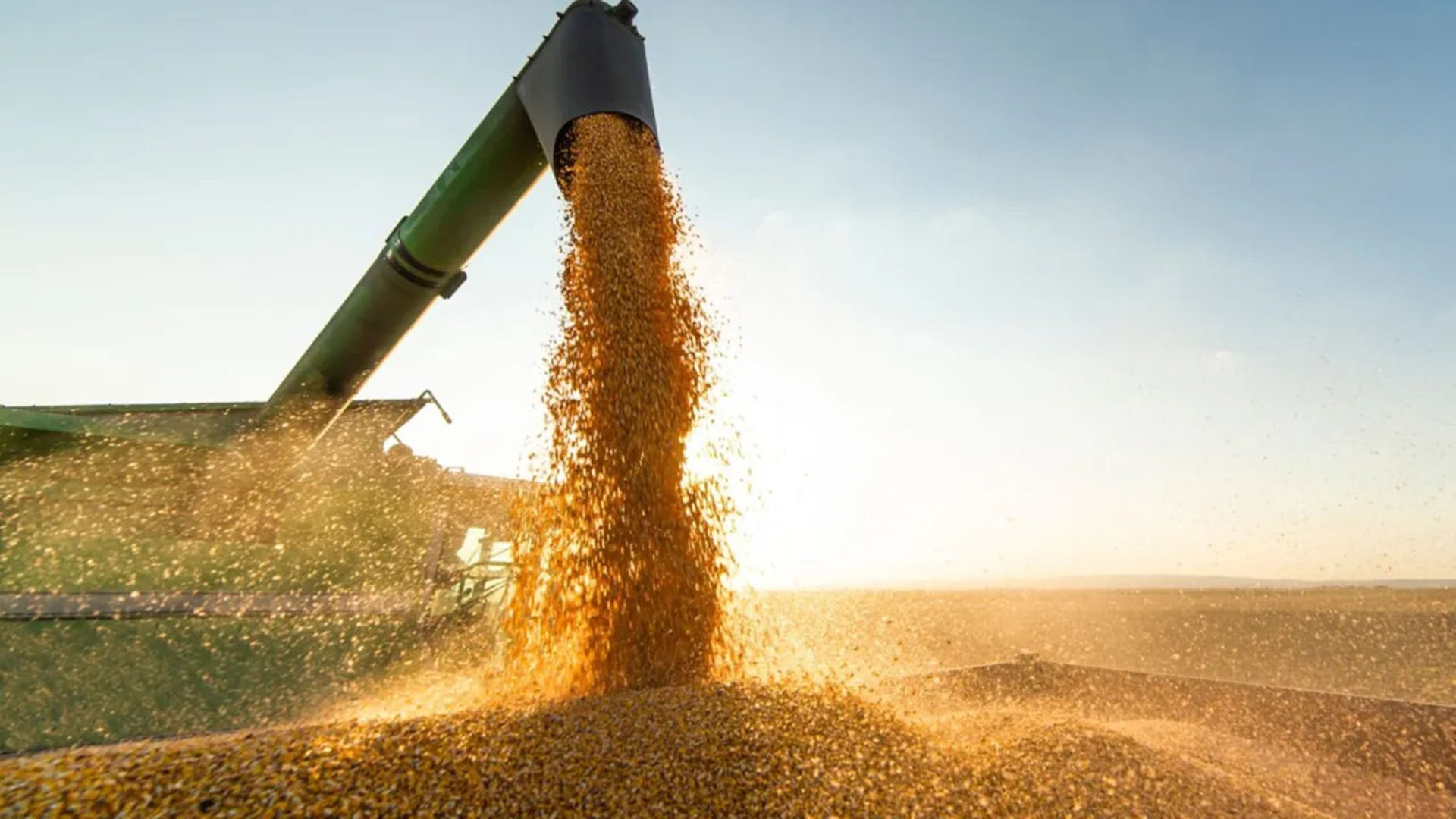 NO LIMITE - Colheita de soja: projeção de agro forte, mas sem crescimento