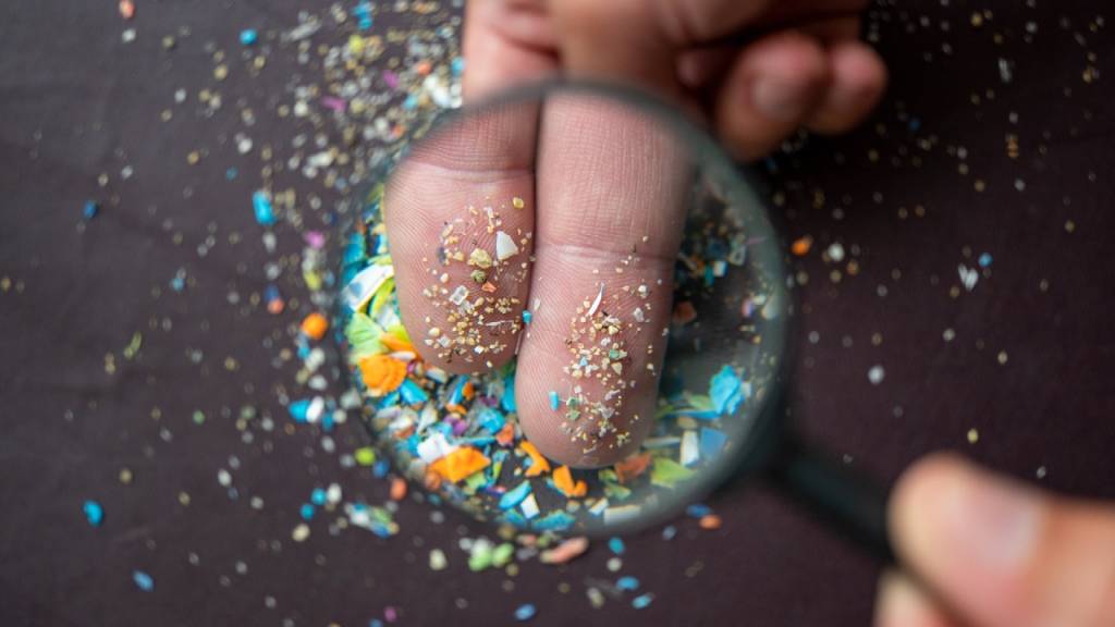 Brasil leva prêmio inédito do MIT por inovação em biologia sintética