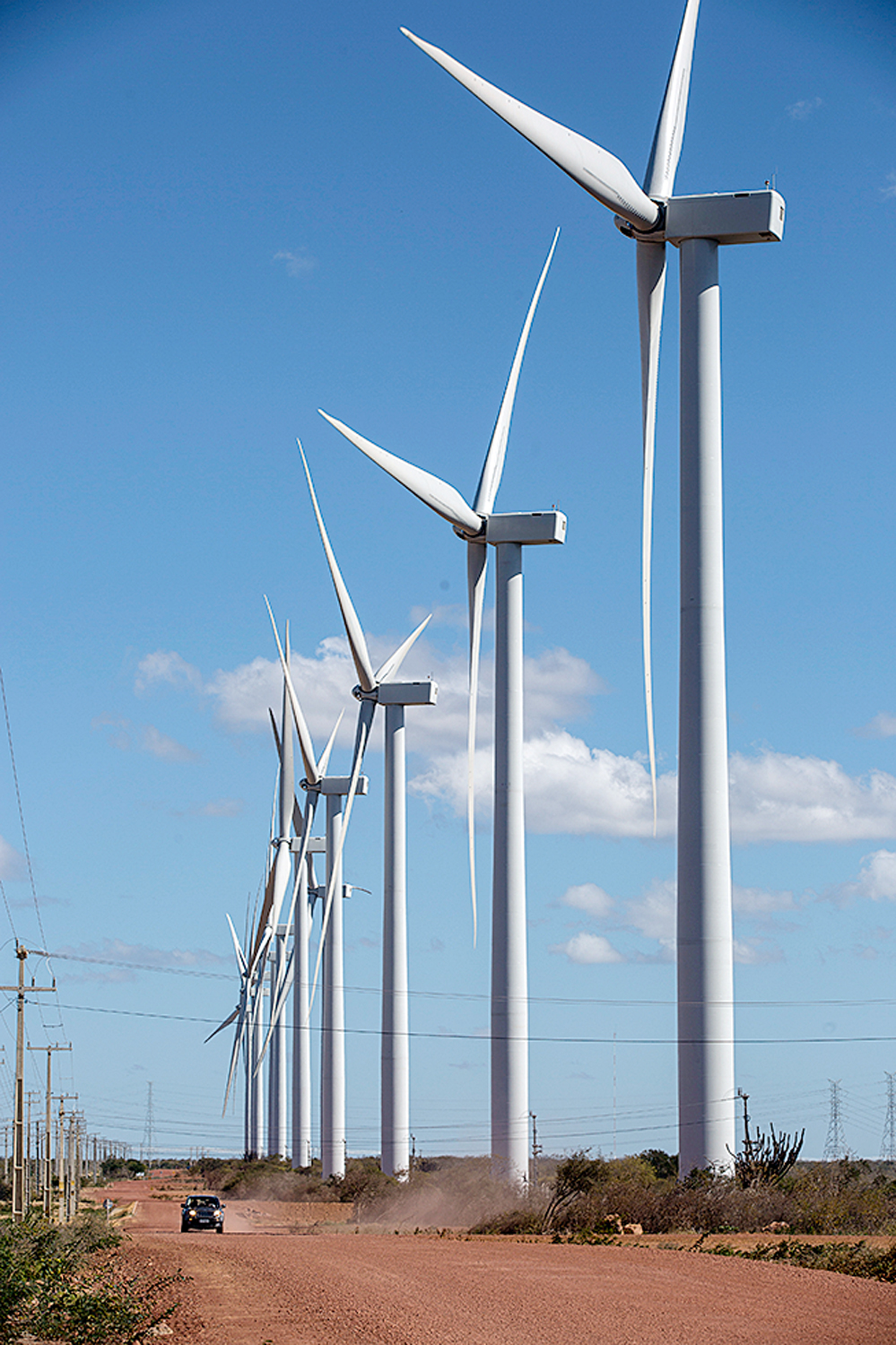 SP reúne investidores internacionais com foco na COP30