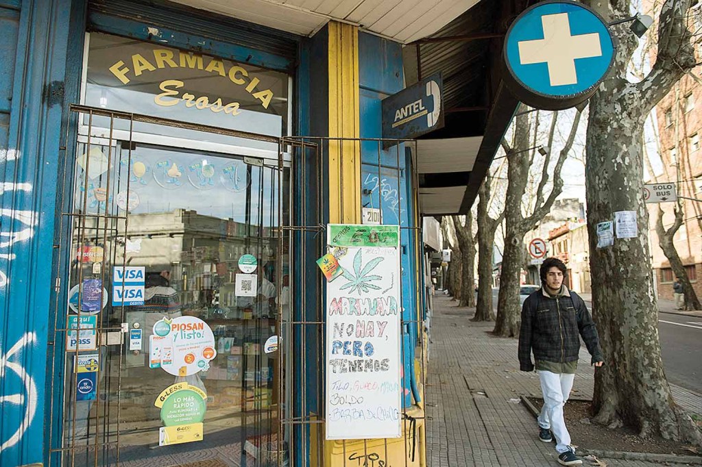 REGULAÇÃO - Uruguai: legislação permite compra de Cannabis em farmácias