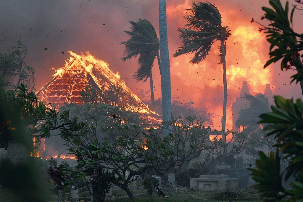 CADA VEZ PIOR - Havaí: o incêndio florestal mais letal dos Estados Unidos destruiu uma cidade e matou 99