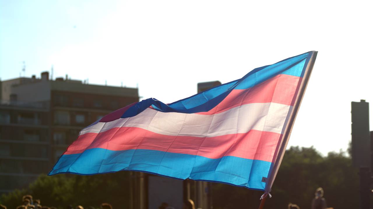 bandeira trans