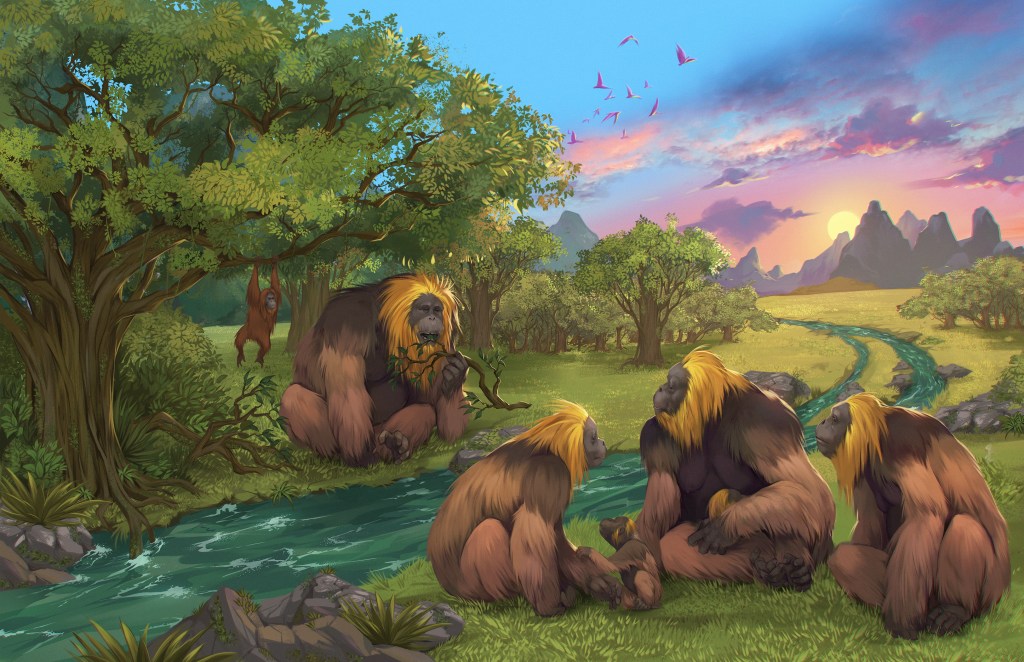 GIGANTOPITHECUS BLACKI - Primata gigante: animal foi extinto há 300 mil anos