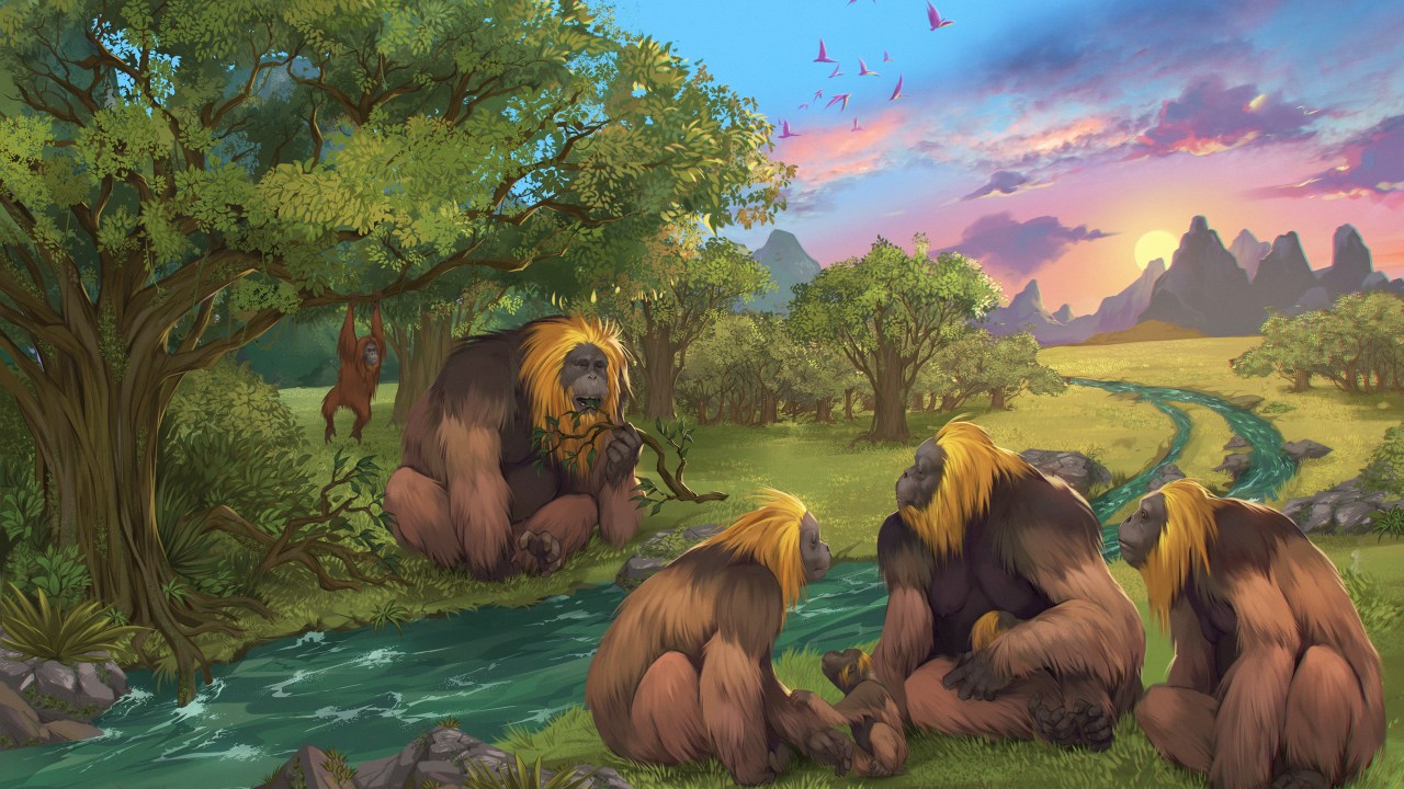 GIGANTOPITHECUS BLACKI - Primata gigante: animal foi extinto há 300 mil anos