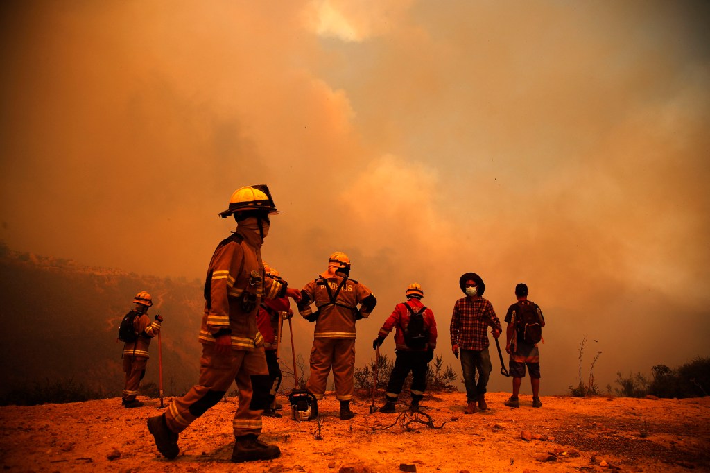 Firefighters work on the zone of a forest fire in the hills in Quilpe comune, Valparaiso region, Chile on February 3, 2024. The region of Valparaoso and Viña del Mar, in central Chile, woke up on Saturday with a partial curfew to allow the movement of evacuees and the transfer of emergency equipment in the midst of a series of unprecedented fires, authorities reported. (Photo by Javier TORRES / AFP)