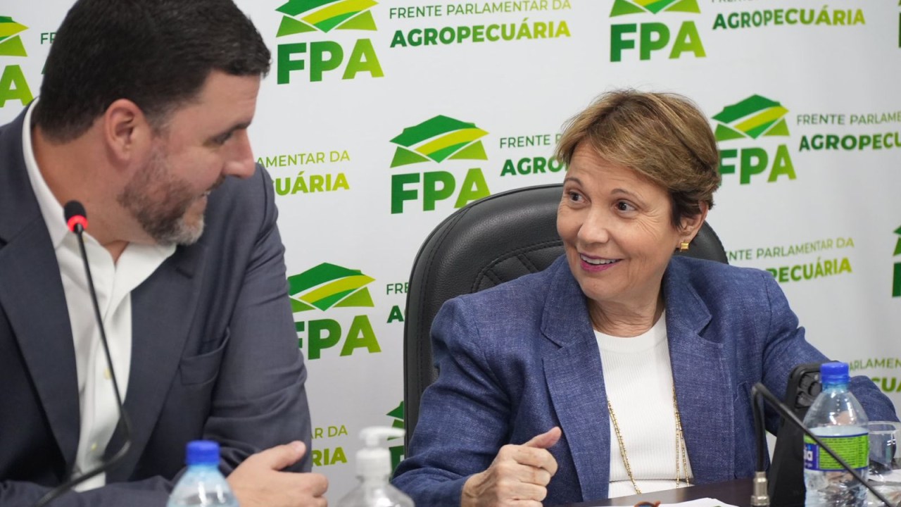 O deputado federal Pedro Lupion (PP-PR) e a senadora Tereza Cristina (PP-MS), representantes da Frente Parlamentar da Agropecuária