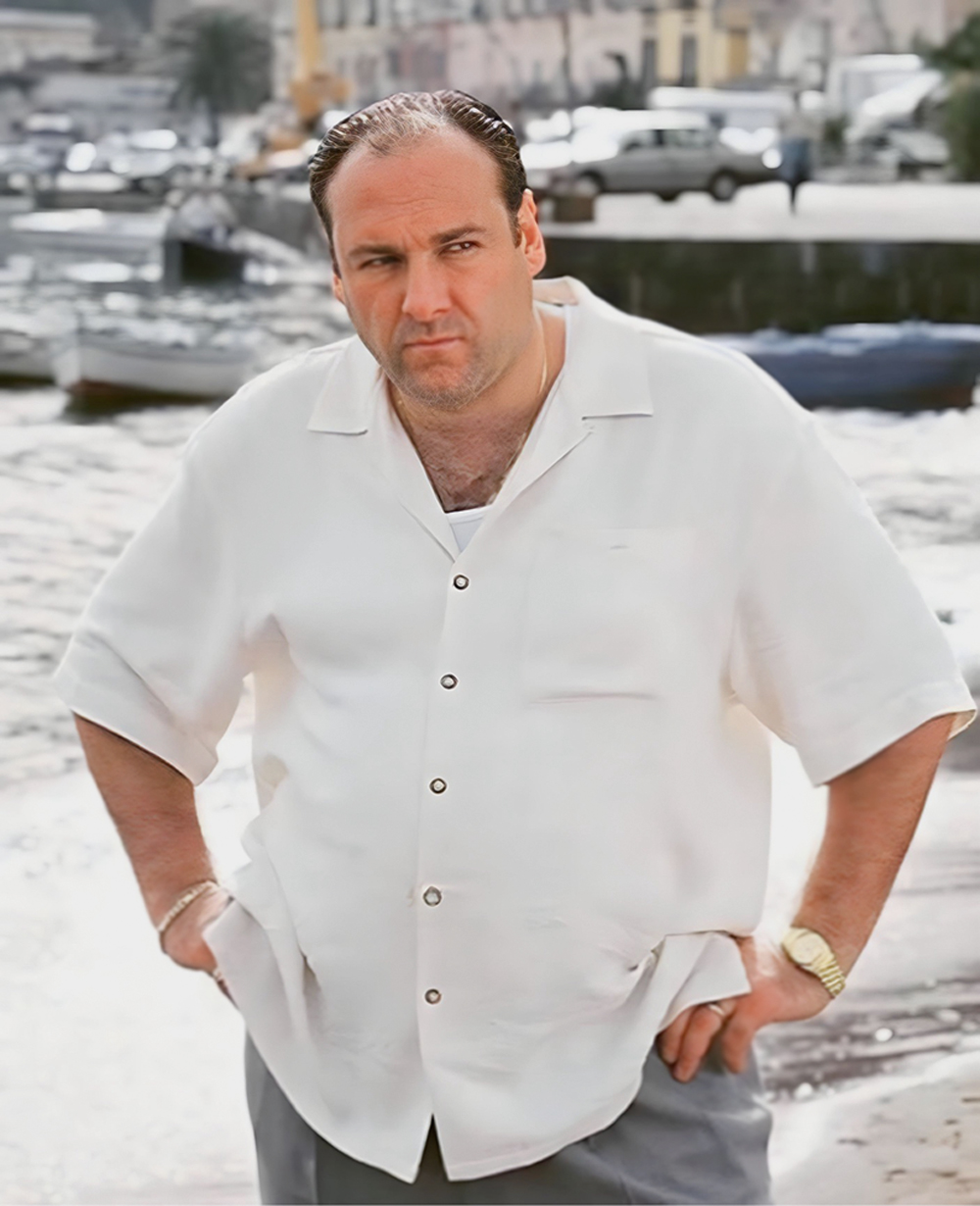 ...É ASSIM - Tony Soprano, vivido por James Gandolfini: na versão masculina, há alguma (falsa) discrição