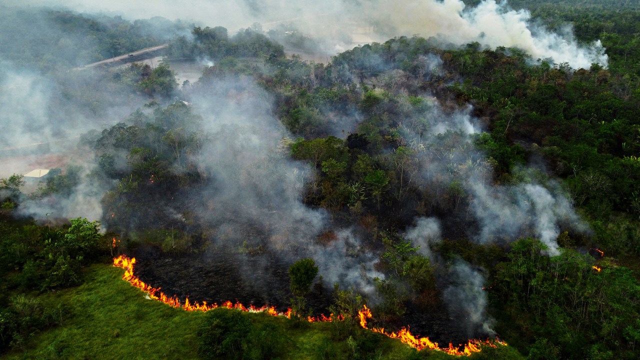 EM PERIGO - A Amazônia: bioma corre o risco de chegar a um ponto de colapso
